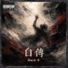 《自傳》demo-Hazii