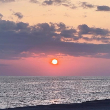 初夏