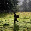 Rain and Sunshine