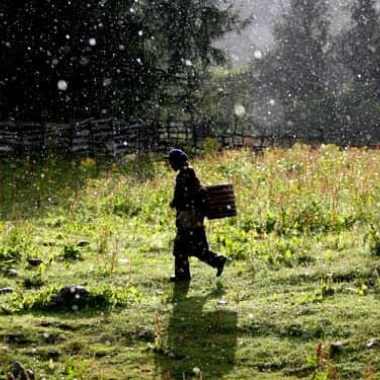 Rain and Sunshine