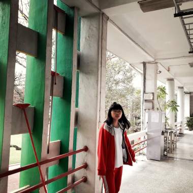 給樹群的歌