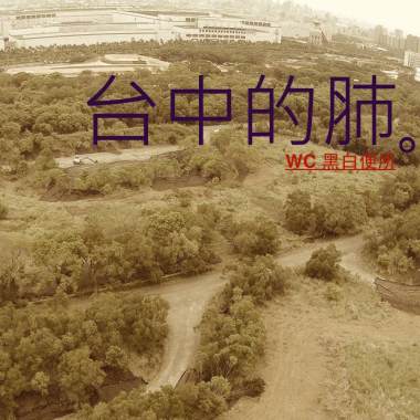 台中的肺
