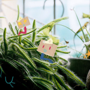 浮名FeelingD - 允許陽光灑進來 feat.雷擎L8ching