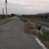 路