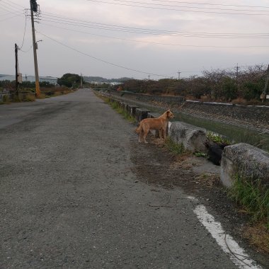 路