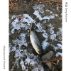 深秋 Deep Autumn Mix