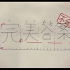 完美答案