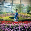 許願W!SH秘語花園