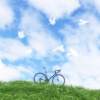 穀雨