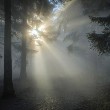 心光專案11122200(母)