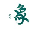 象