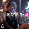 虛假的回音