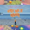 Cry Me a River (Cover)