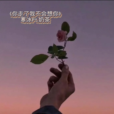 你走了我不会想你 (ft. 奶茶)