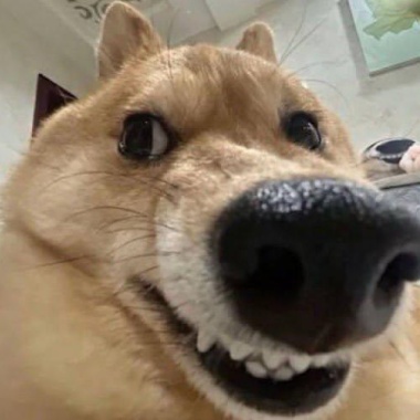 676767