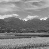 給親愛的vuvu