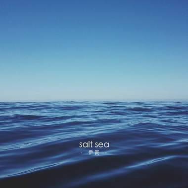 Salt Sea 