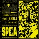 艾蜜莉AMILI－Spida