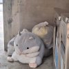吵什麼吵
