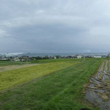 侘寂