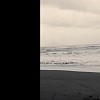 四季 Seasons - 殷陽 Yin Yang feat. 鄭小韻