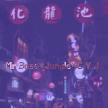 Jungle,Mr.Bass,C.Y.J(ChenYoungJiang) - 化龙池（Prod. by Jungle）
