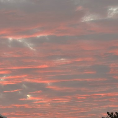 寶貝對不起我還想你但我不能愛你