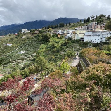 秋天的旅行