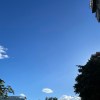 想要緊握 demo