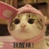 我醒來了