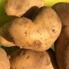 Potato Girl