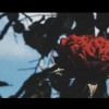 Flower-Beat
