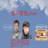 愛不愛我cover