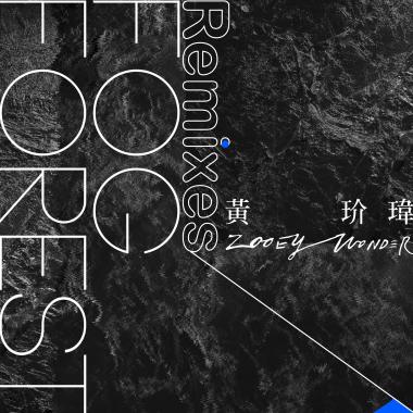 Fog Forest (Scott Damn Remix)
