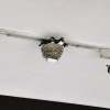 猿猿的溝通