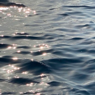 海REMIX Ft. GOAT-CHEN MAZE HUGO