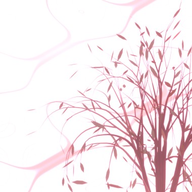 花朵貓-沉眠花海中的瑕疵品