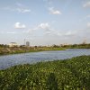 浮木（室內樂編制）