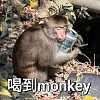 Blue - 喝到monkey