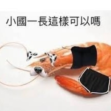 61-小國一這樣行不行