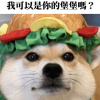 願溫柔的你被世界溫柔以待— cover by 堡堡犬