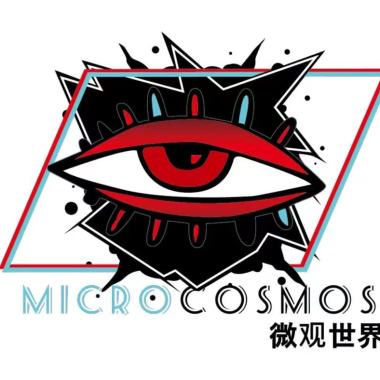 我想起我看到的世界（live）