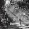 The Dream of Light