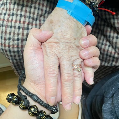 忘春花（純鋼琴）