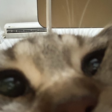 香水味