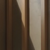 林聲