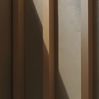 林聲