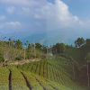 Hills