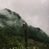 Lamp in the Mountain
