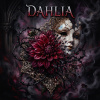 Kenji - Dahlia